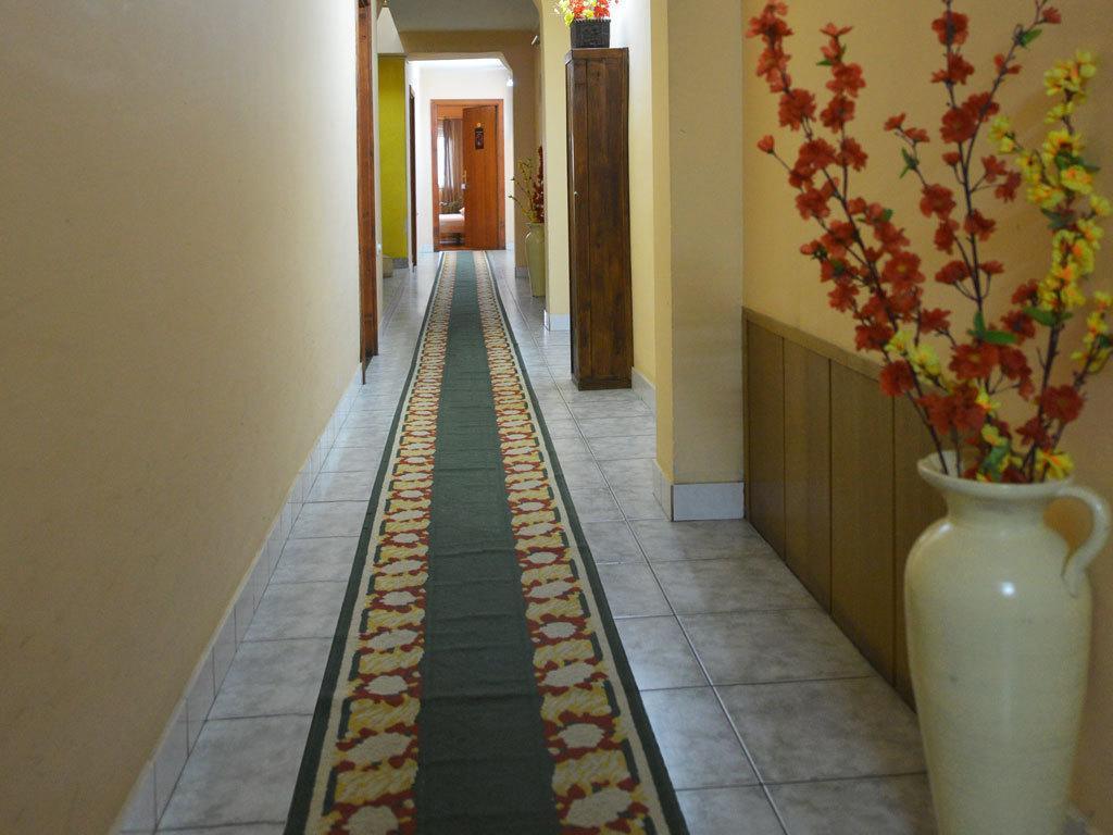 Guest House Vila Bor Novi Sad Exterior foto